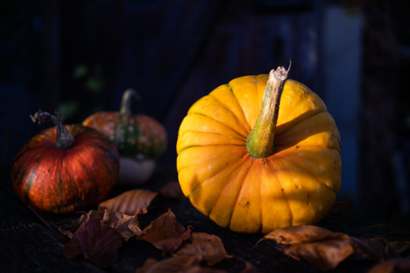 pumpkins in autumn