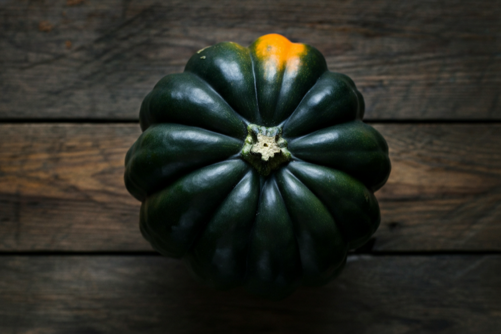 Acorn Squash (1)