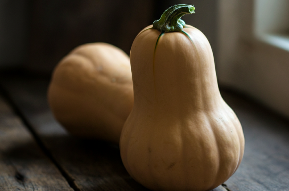 Butternut Squash 2