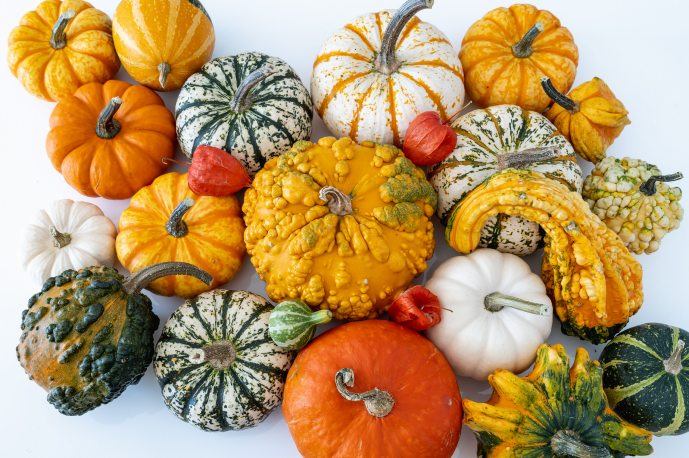 Pumpkins Assorted (1), Types of Pumpkin