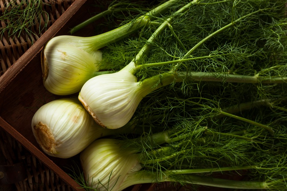 fennel