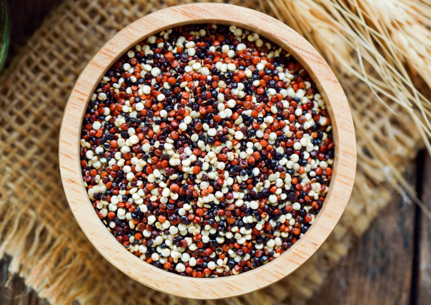 tri-color rainbow quinoa