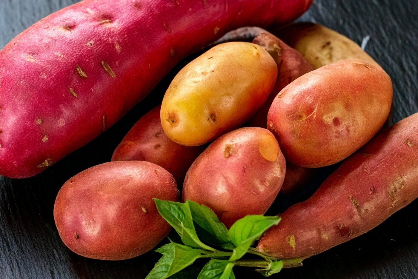 types of sweet potatoes russet, jewel jam, japanse sweet potatoes